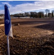 Update status hoofdveld